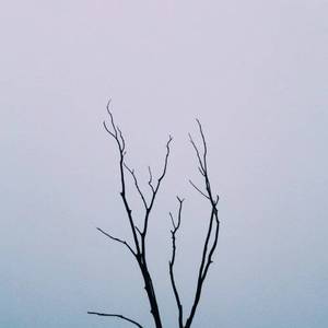 小BBW小BBw小BBw小曰本
